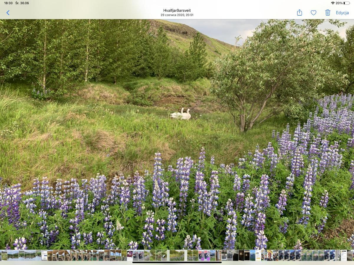 Icelandic Lake House 阿克拉内斯 外观 照片