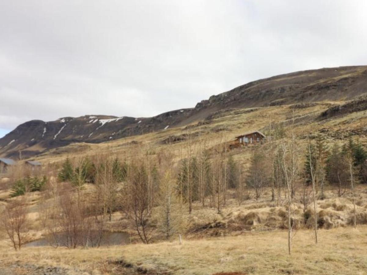Icelandic Lake House 阿克拉内斯 外观 照片