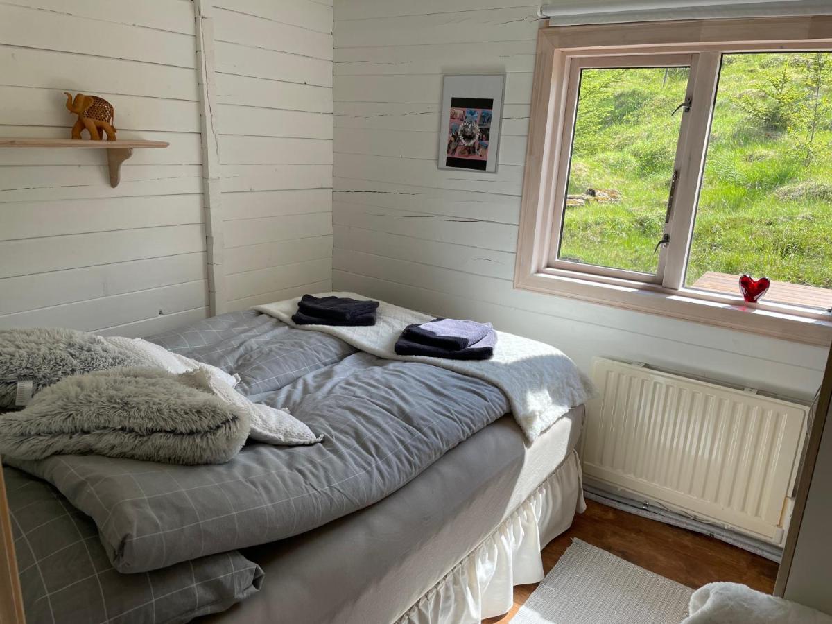 Icelandic Lake House 阿克拉内斯 外观 照片