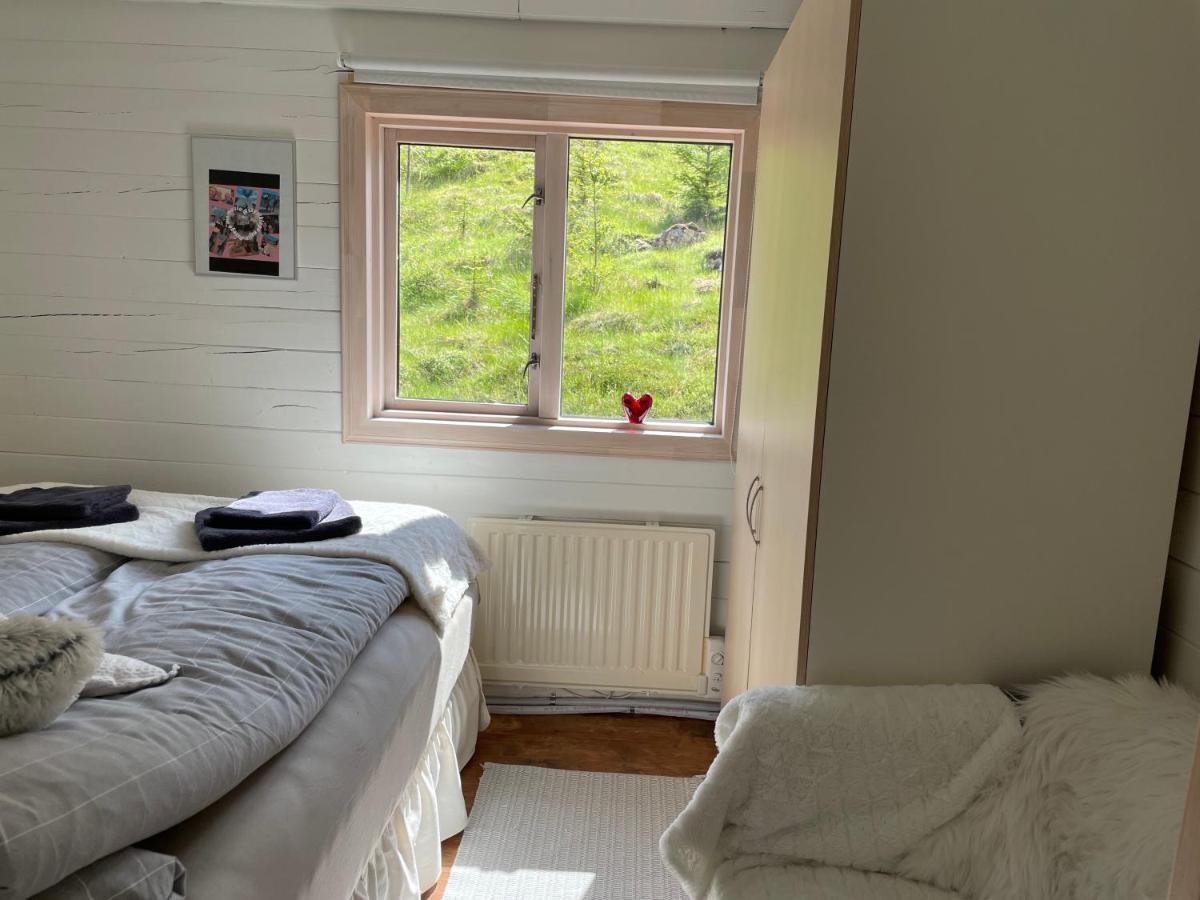 Icelandic Lake House 阿克拉内斯 外观 照片